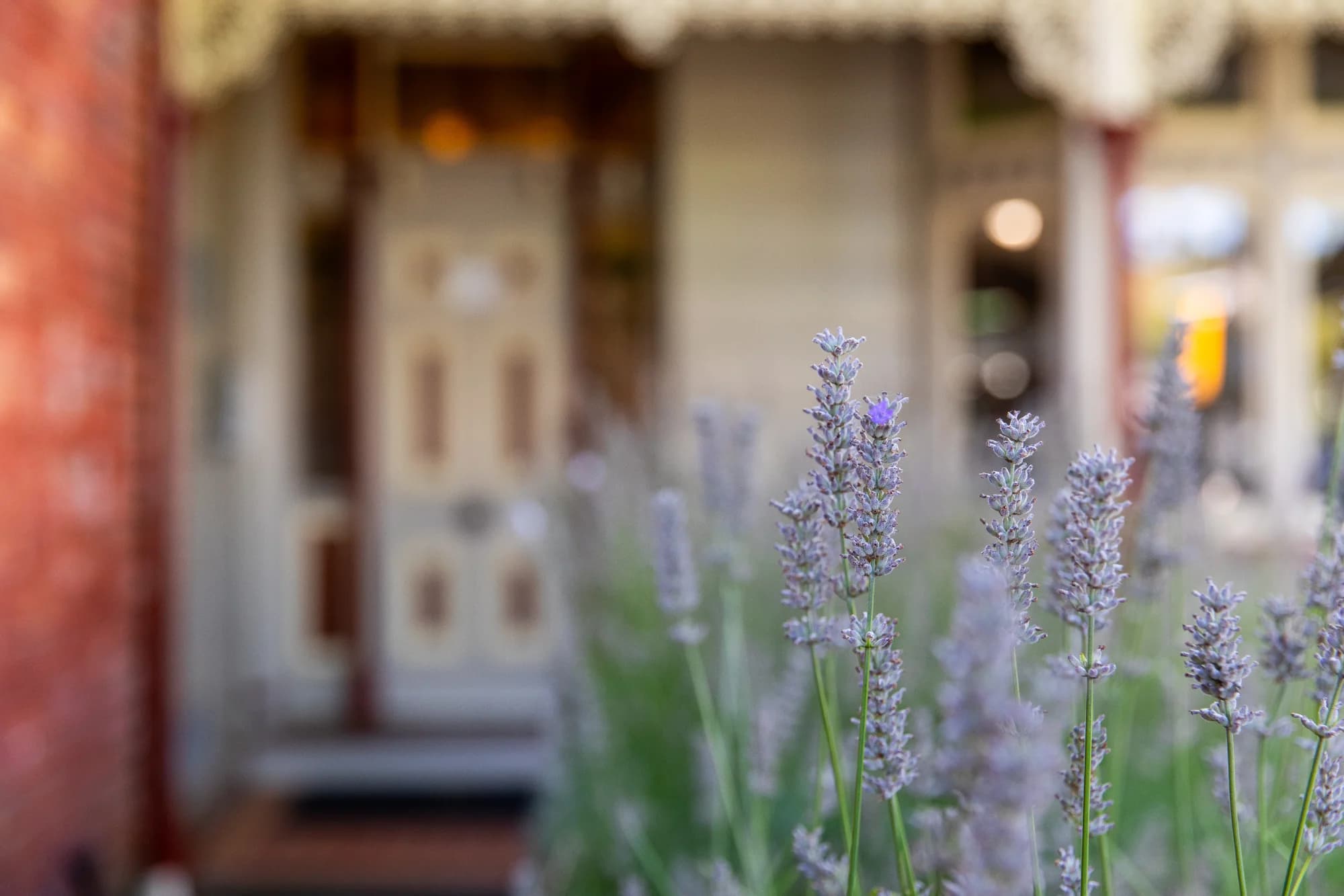 Bloom Well-being Brisbane clinic entrance